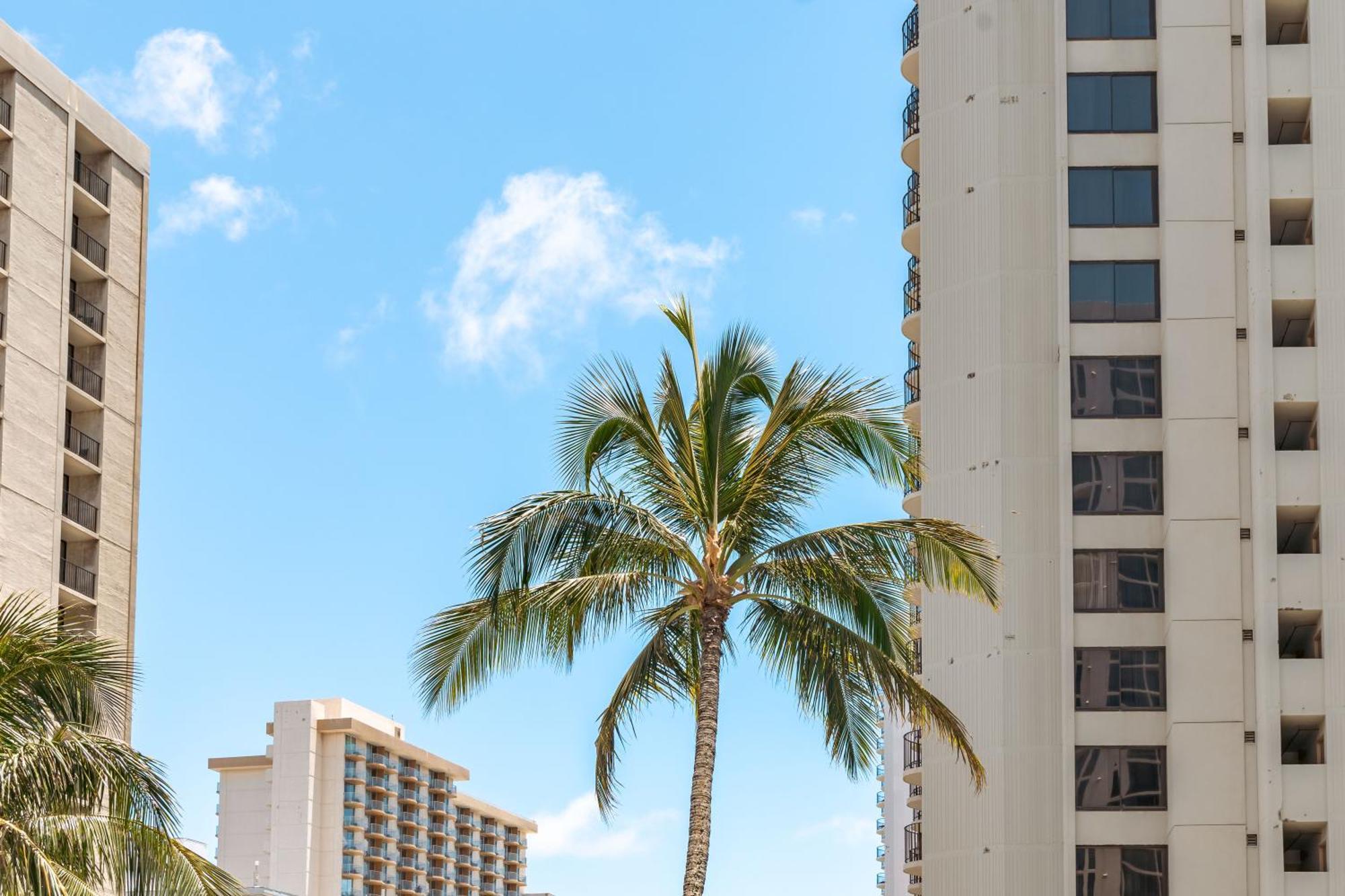 Renovated Ocean View Suite, Near Beach, Free Parking Гонолулу Экстерьер фото
